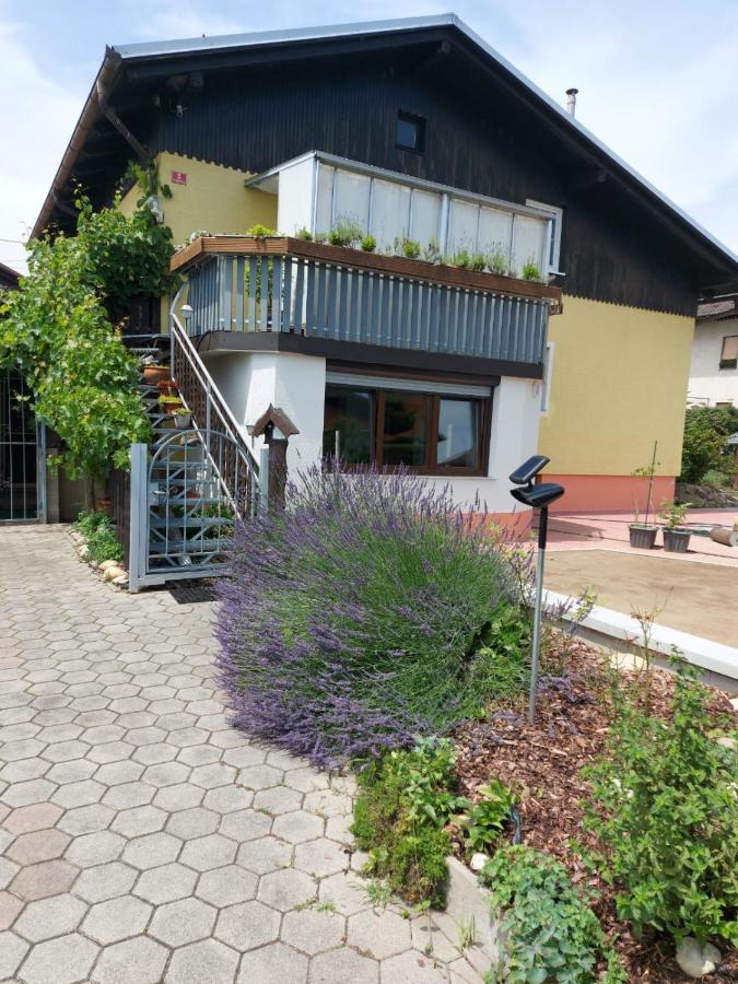 Apartma Reich Ptuj Exterior foto